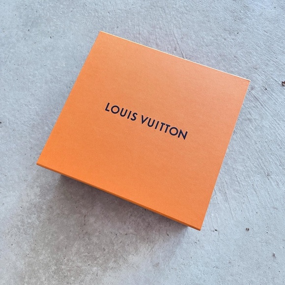 Louis Vuitton Trainer Low Sneakers - Hiroshi Fujiwara Colorway - Picture 4 of 14